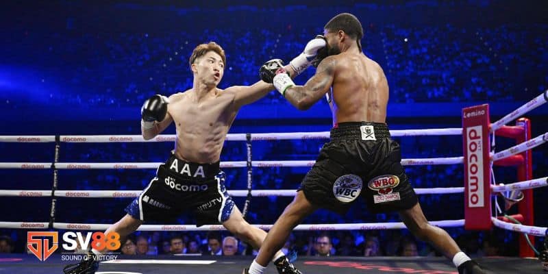 Cá cược boxing