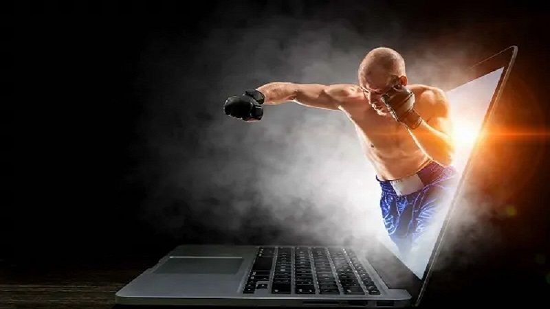 cá cược boxing trực tuyến