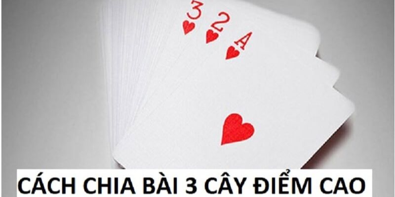 Bật mí cách chia bài 3 cây bịp