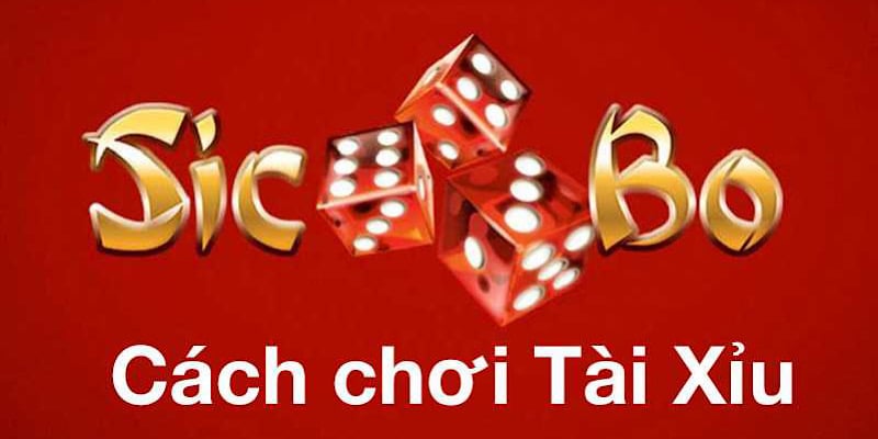 Cách chơi tài xỉu đơn giản